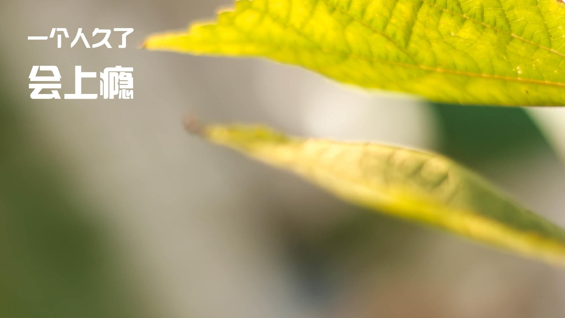 东亚杯中国女足爆冷 球员需要提升把握机会能力，东亚女足锦标赛