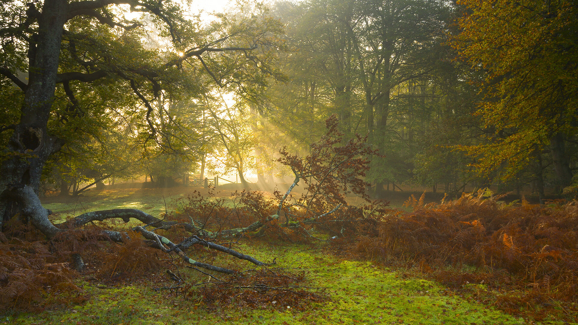 世界杯逆境突围:永不言弃的足球精神,世界杯惊天逆转