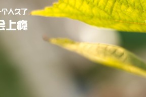 开云体育在线赛事直播-东亚杯中国女足爆冷 球员需要提升把握机会能力，东亚女足锦标赛