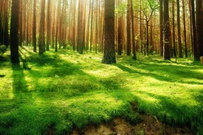 kaiyun.com-滑雪越野挑战赛新疆站冰雪赛道惊险刺激，新疆滑雪协会