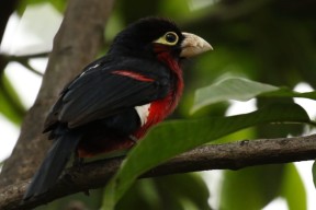 kaiyun 开云体育-“东部新区定向越野赛：一场体能与脑力的双重较量”