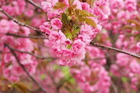 开云注册-国家队常年无队魂核心人物引领，国家队队员有什么待遇