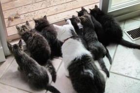 开云注册-CBA赛季精彩赛事不断，cba赛季视频