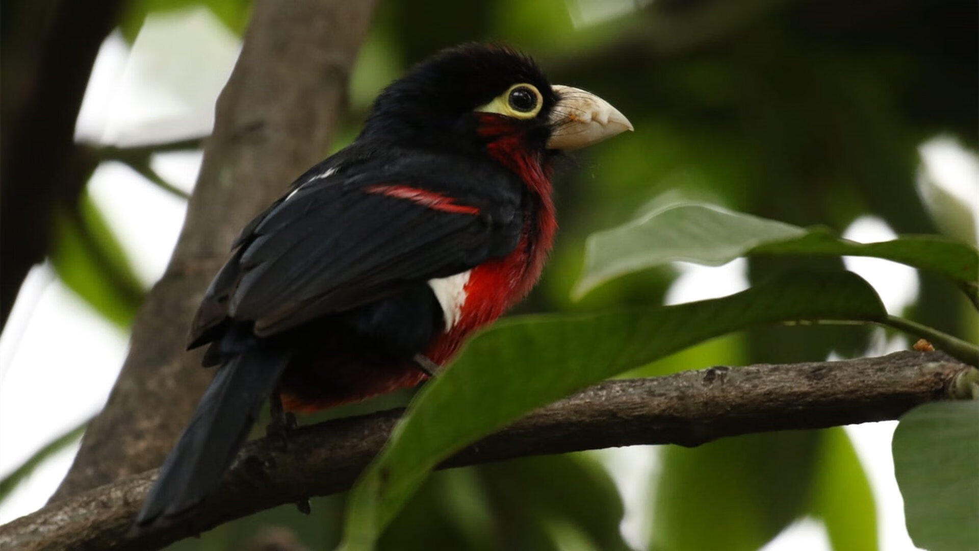 “东部新区定向越野赛：一场体能与脑力的双重较量”