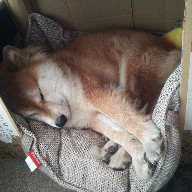 中超联赛国家队夺冠 球迷纷纷点赞,2021中超夺冠规则