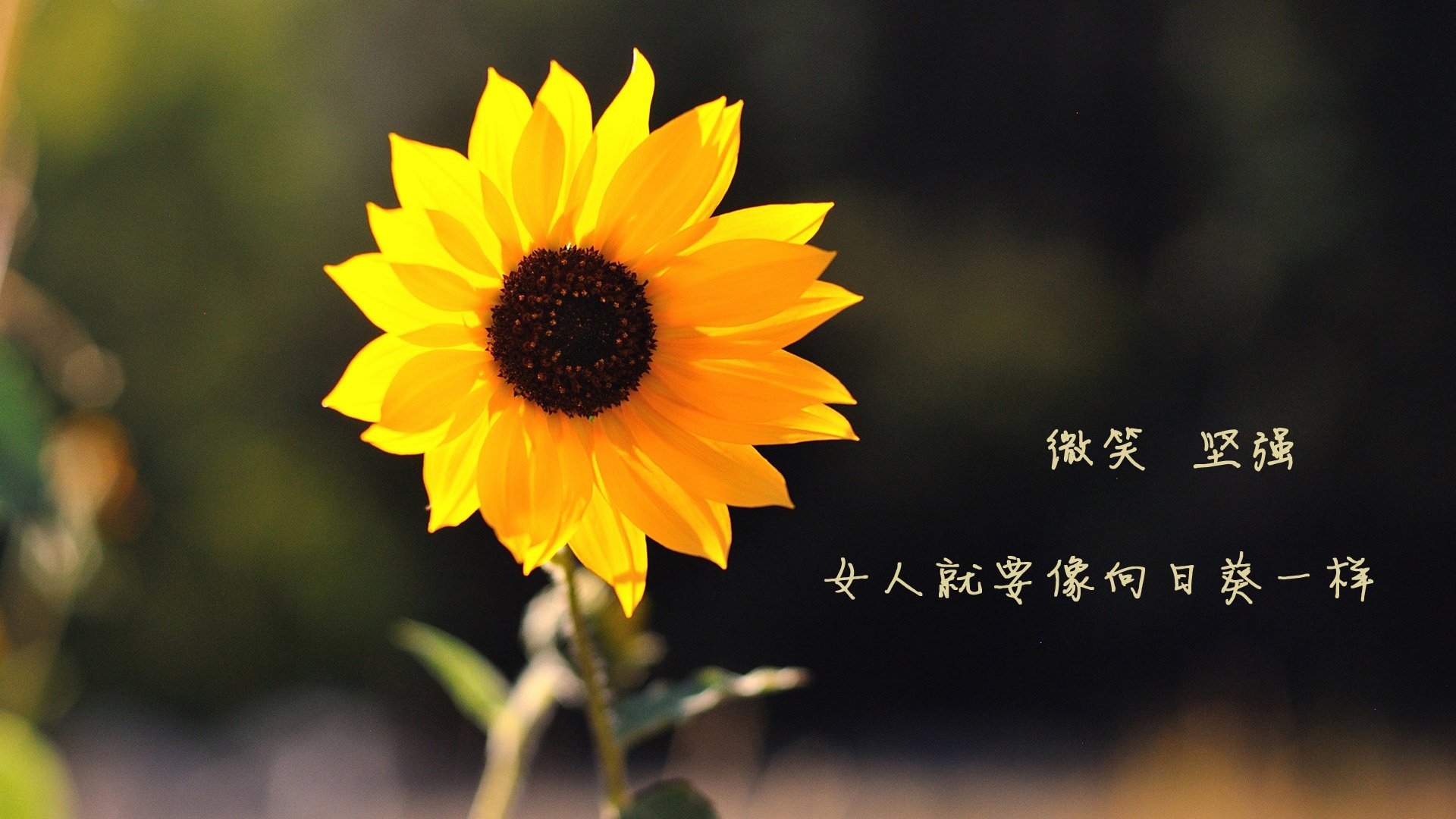 城市马拉松公益理念深入人心，城市马拉松意义