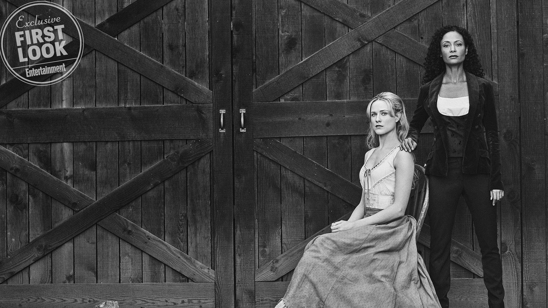 女队中坚力量稳定带队,女队中坚力量稳定带队的是谁